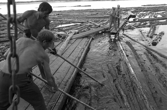 Loose timber floating down Pechora River