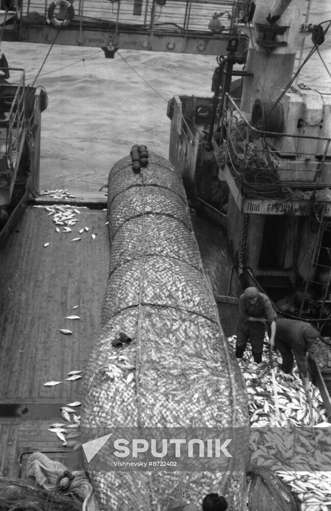 Refrigeration and fishing vessel