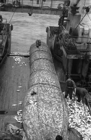 Refrigeration and fishing vessel