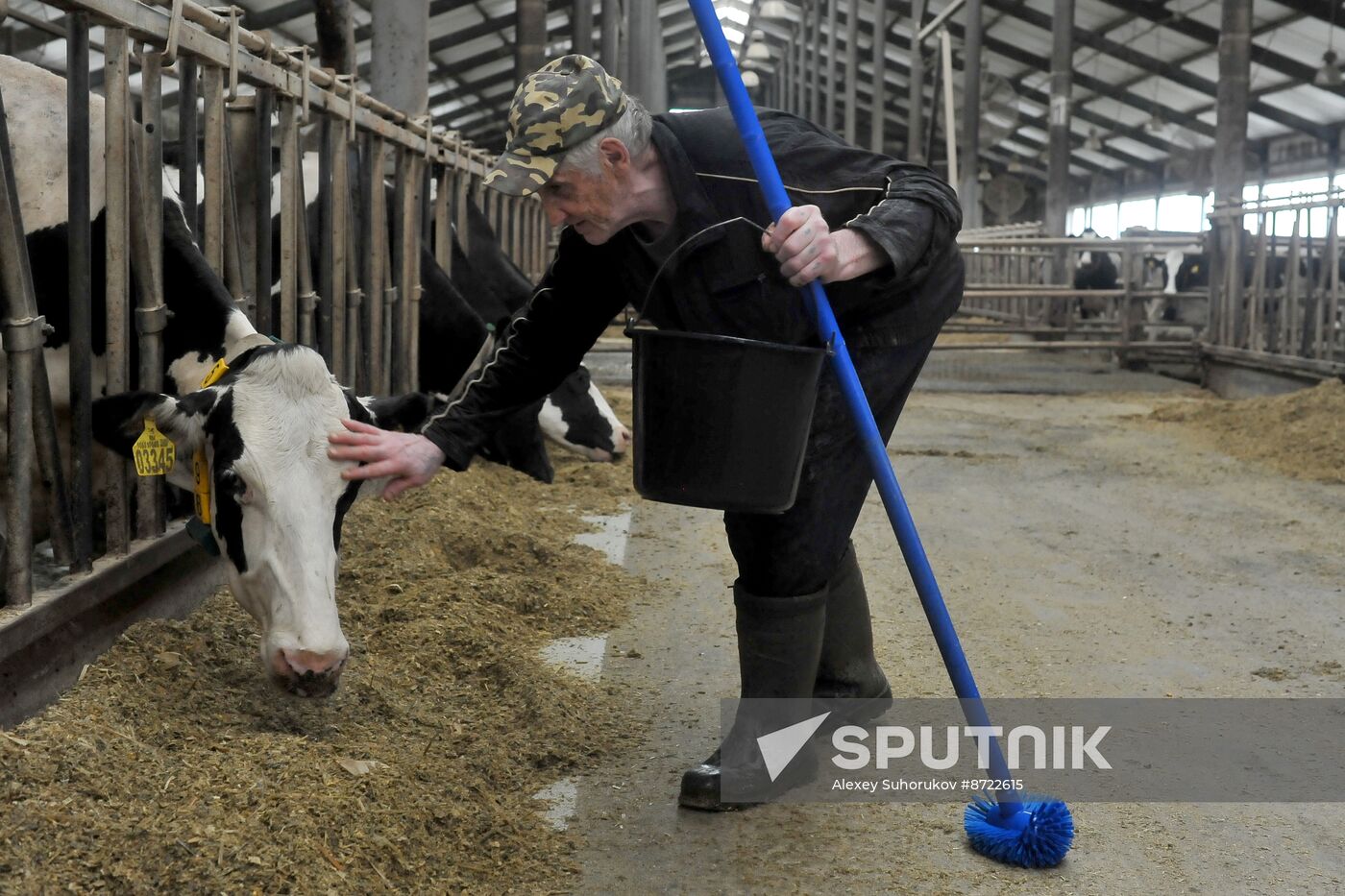 Russia Agriculture Cereal Production