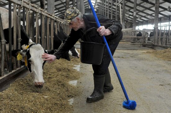 Russia Agriculture Cereal Production