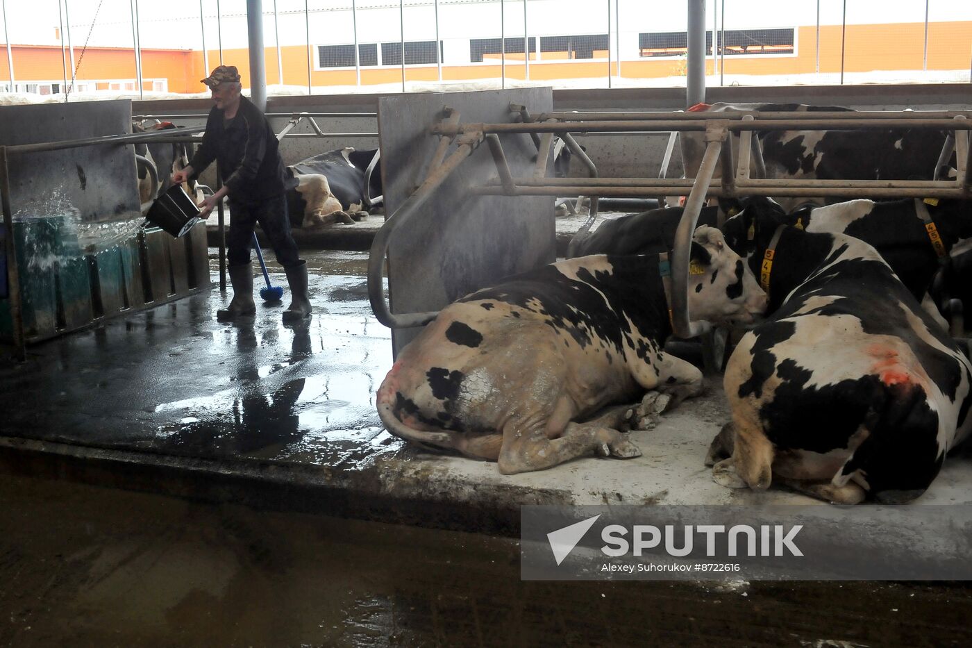 Russia Agriculture Cereal Production