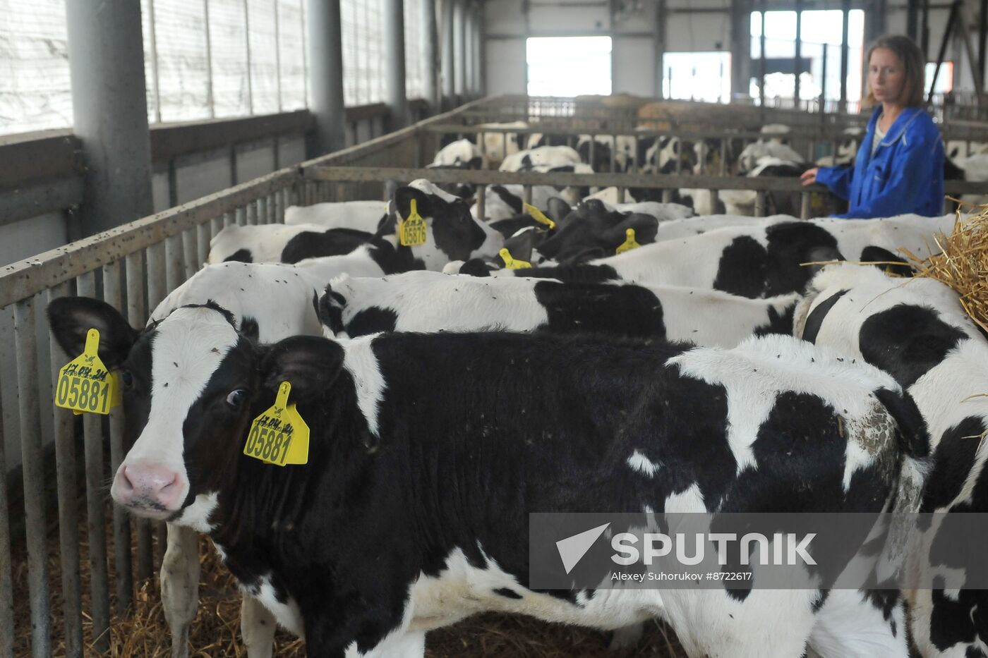 Russia Agriculture Cereal Production