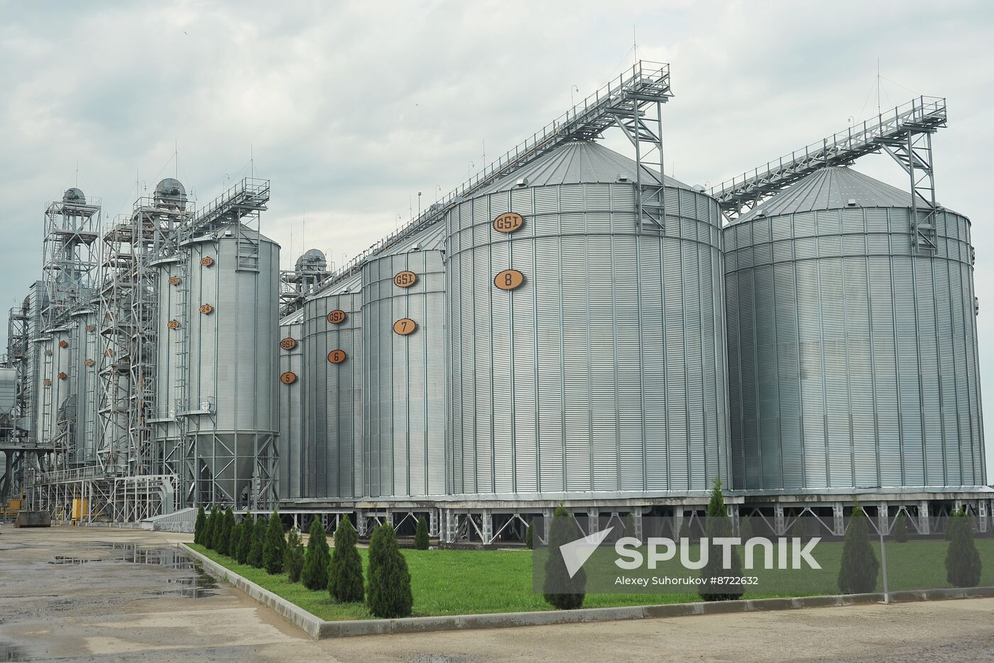 Russia Agriculture Cereal Production