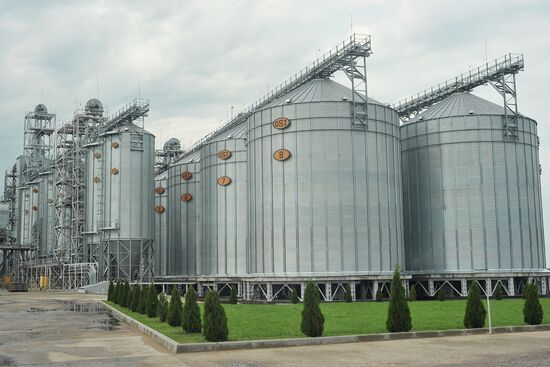 Russia Agriculture Cereal Production