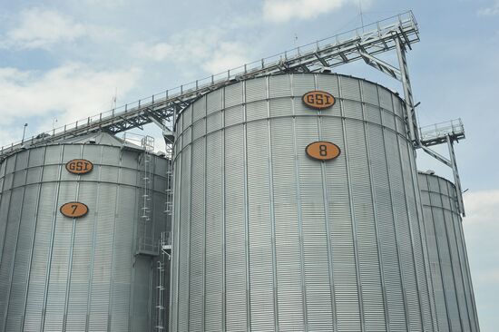 Russia Agriculture Cereal Production