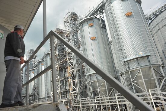Russia Agriculture Cereal Production