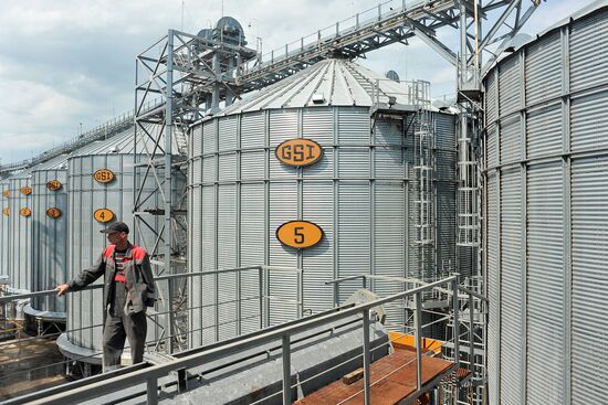 Russia Agriculture Cereal Production