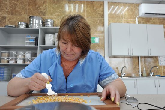 Russia Agriculture Cereal Production