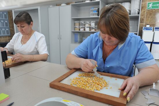 Russia Agriculture Cereal Production