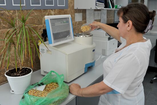 Russia Agriculture Cereal Production