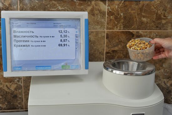Russia Agriculture Cereal Production
