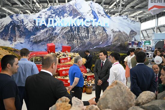 Russia Innoprom Trade Fair