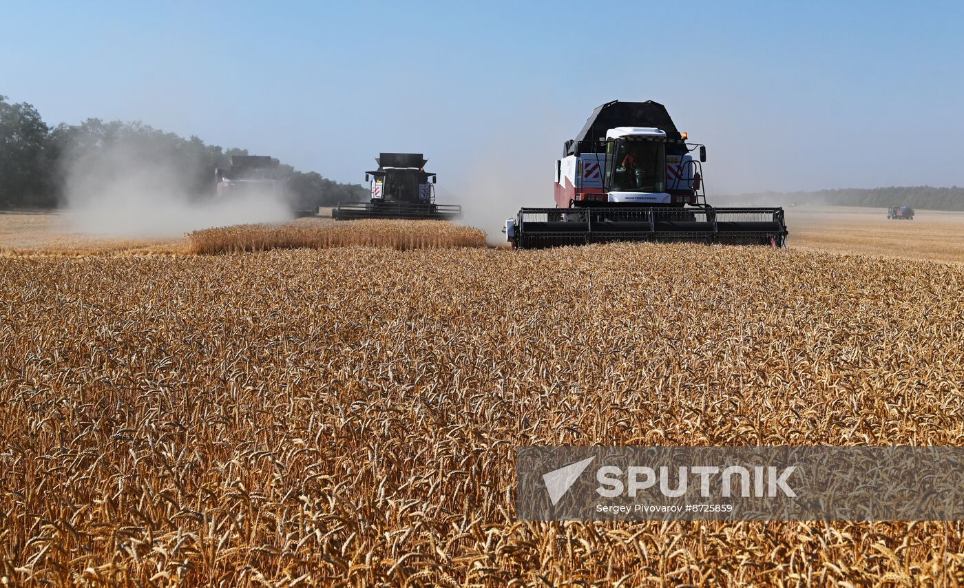 Russia Agriculture Wheat Harvesting