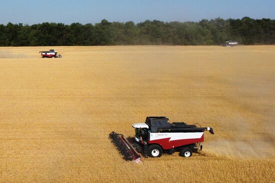 Russia Agriculture Wheat Harvesting