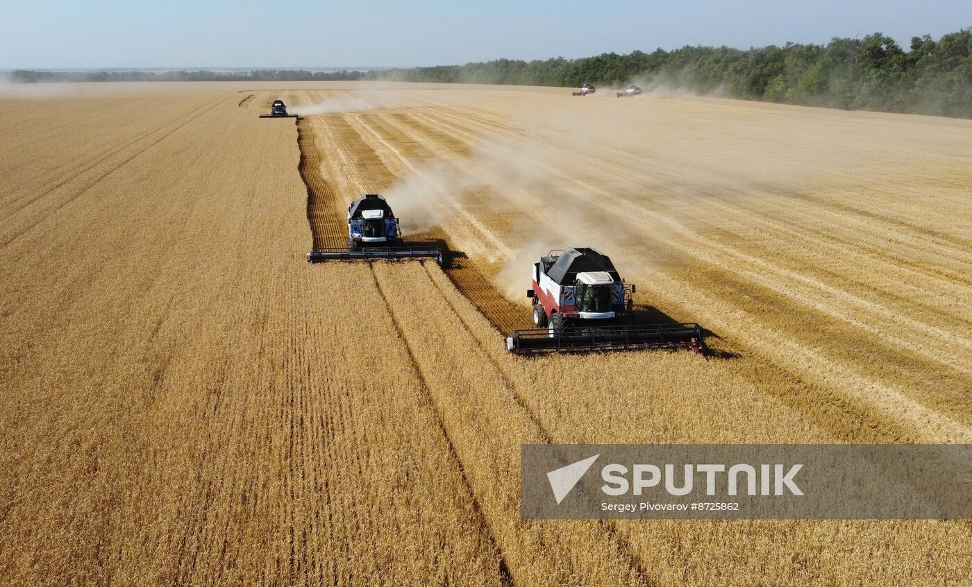 Russia Agriculture Wheat Harvesting