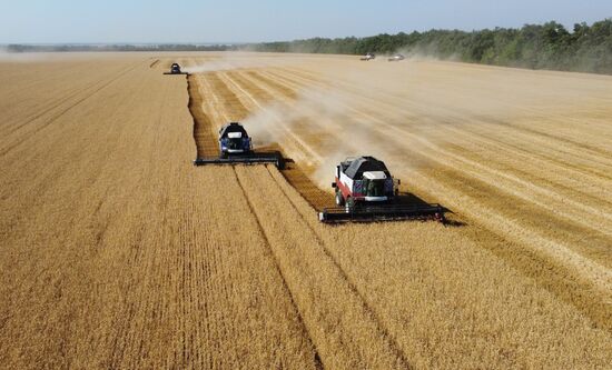 Russia Agriculture Wheat Harvesting
