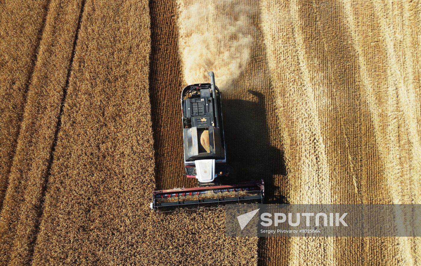 Russia Agriculture Wheat Harvesting