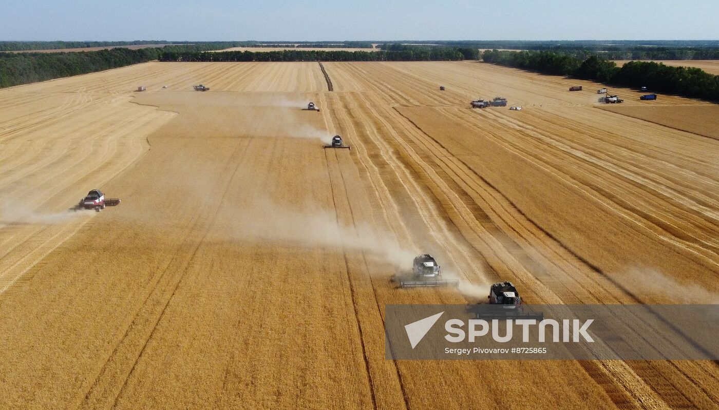 Russia Agriculture Wheat Harvesting