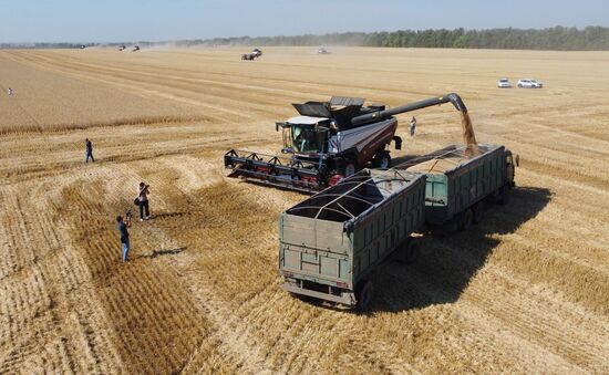 Russia Agriculture Wheat Harvesting