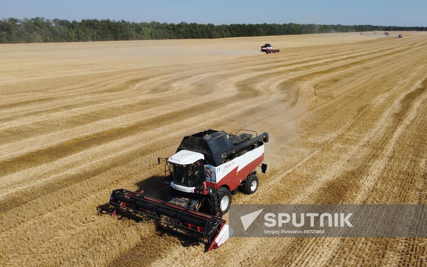 Russia Agriculture Wheat Harvesting