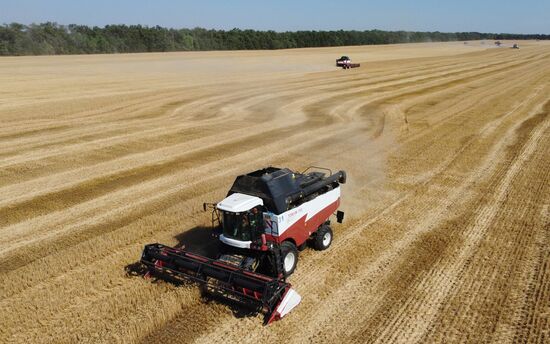 Russia Agriculture Wheat Harvesting