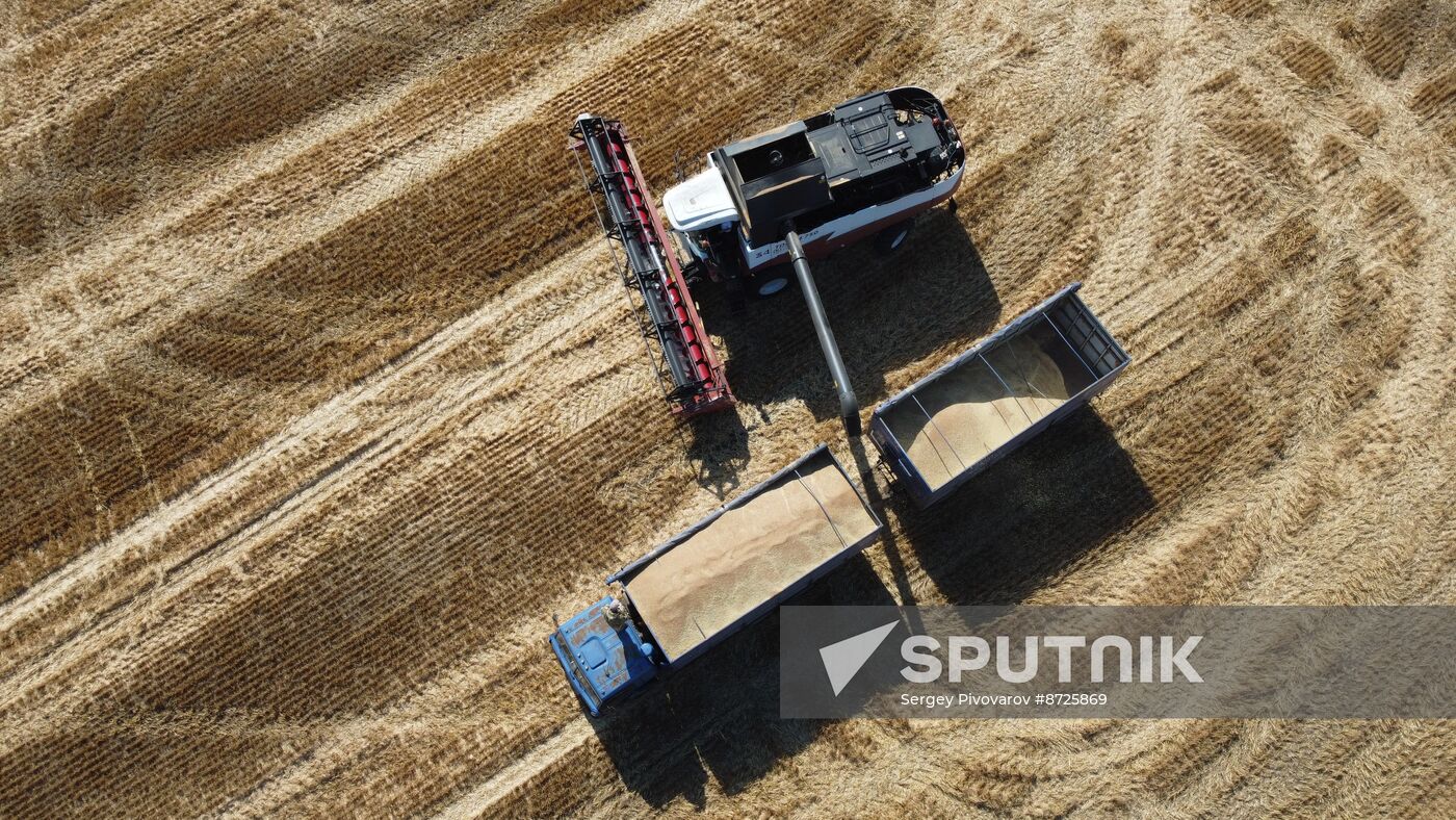 Russia Agriculture Wheat Harvesting