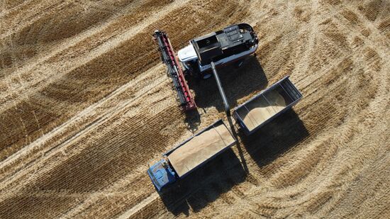 Russia Agriculture Wheat Harvesting