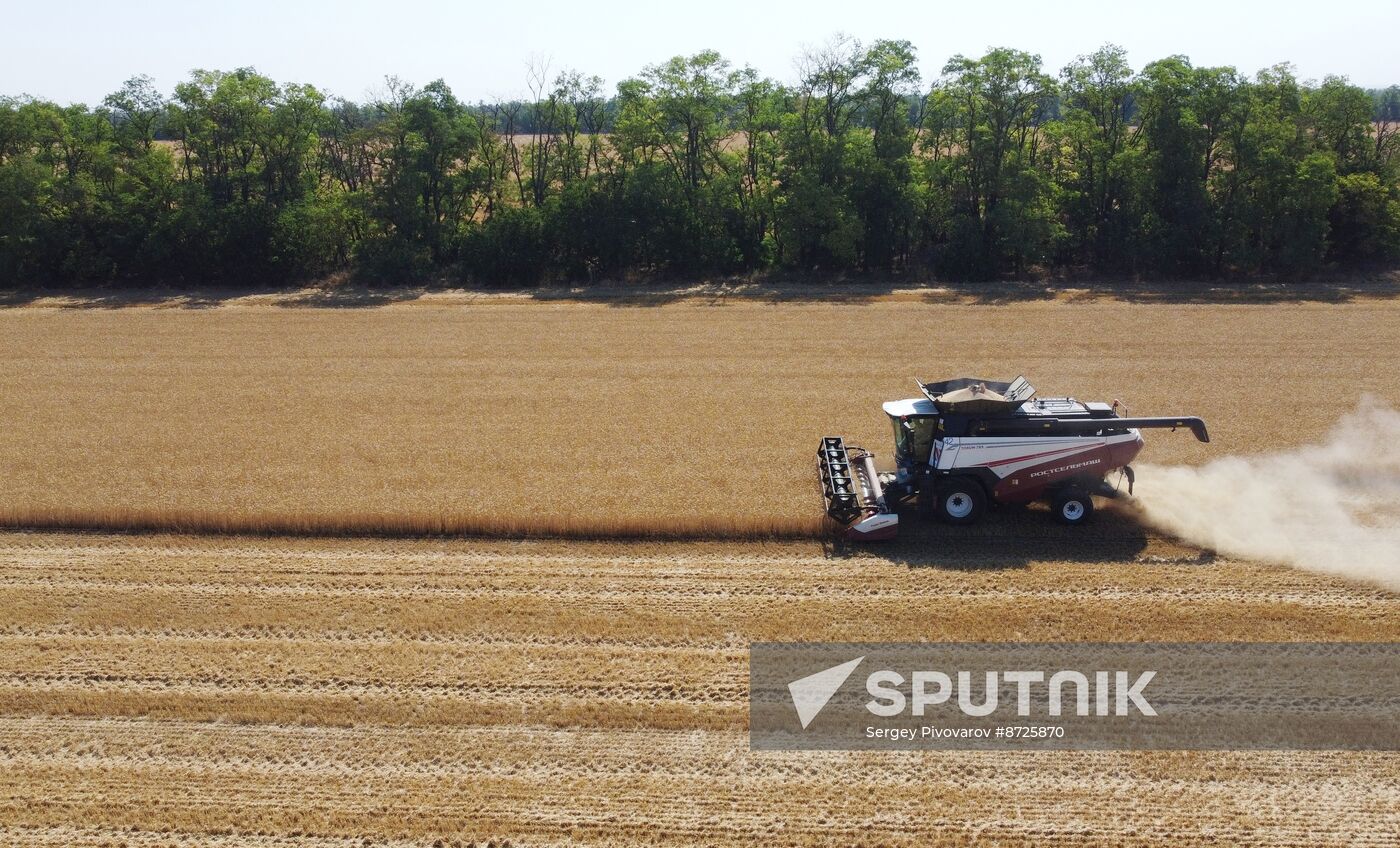 Russia Agriculture Wheat Harvesting
