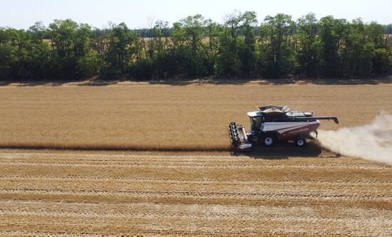 Russia Agriculture Wheat Harvesting