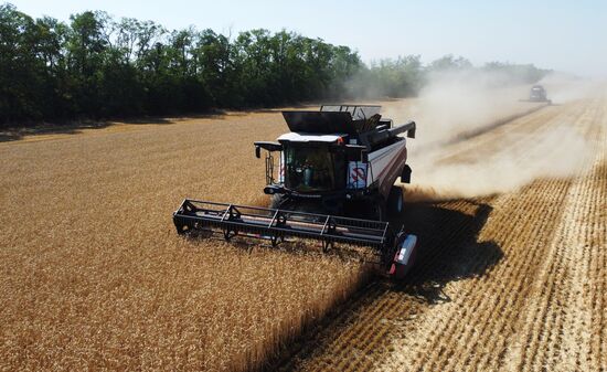 Russia Agriculture Wheat Harvesting