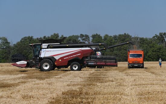 Russia Agriculture Wheat Harvesting