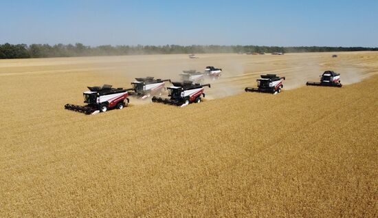 Russia Agriculture Wheat Harvesting
