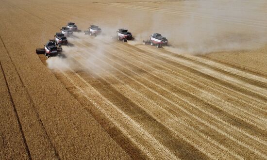 Russia Agriculture Wheat Harvesting