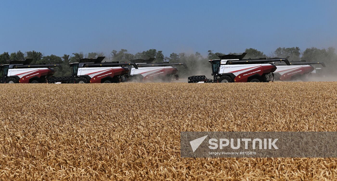 Russia Agriculture Wheat Harvesting