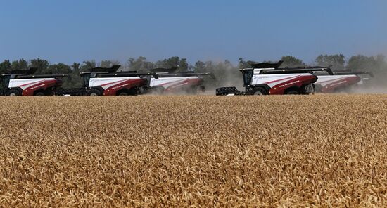 Russia Agriculture Wheat Harvesting