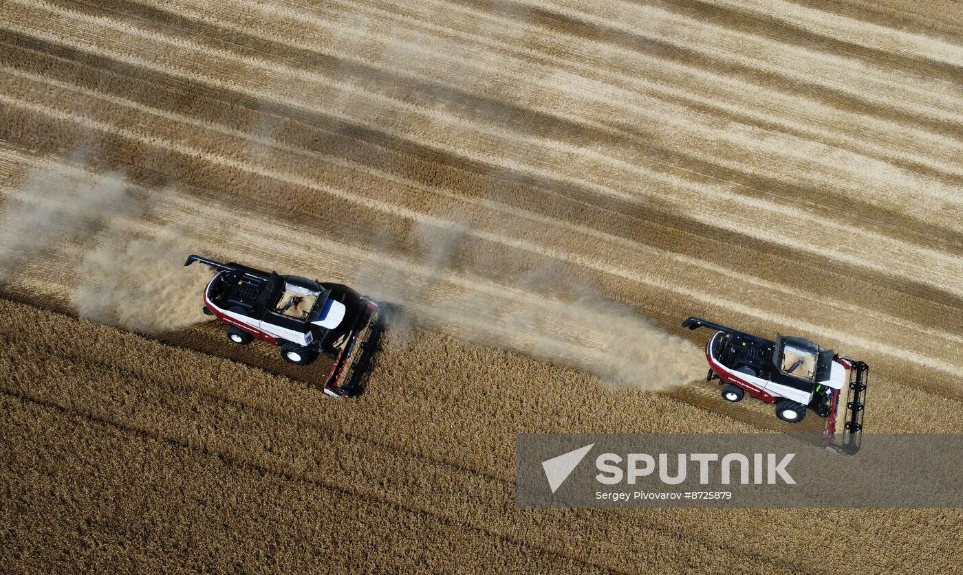 Russia Agriculture Wheat Harvesting