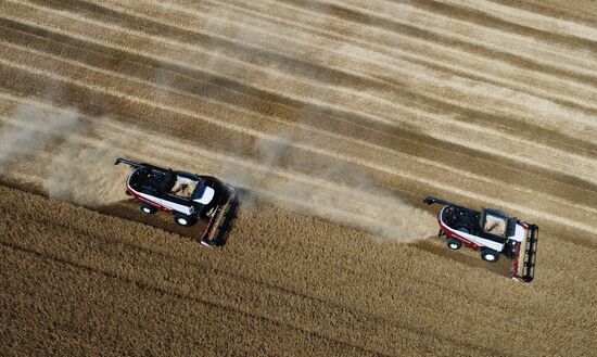 Russia Agriculture Wheat Harvesting