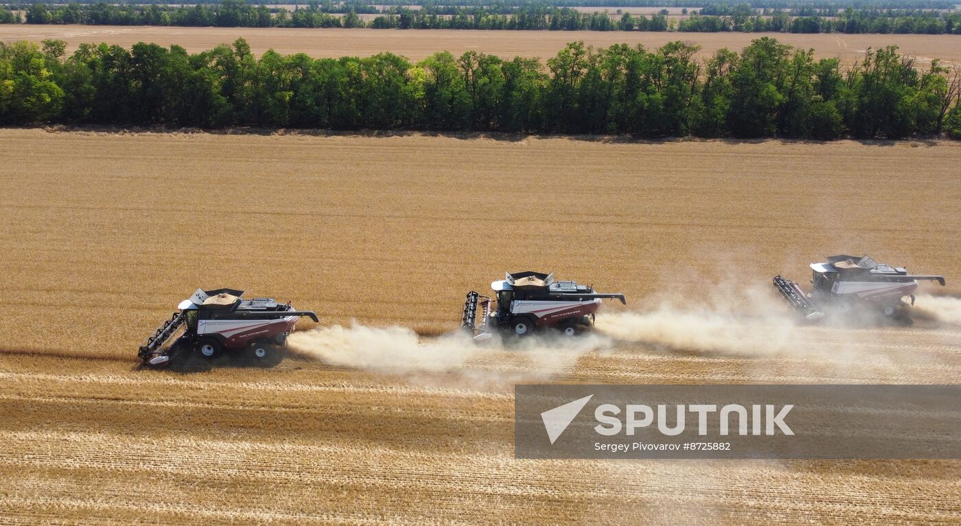 Russia Agriculture Wheat Harvesting