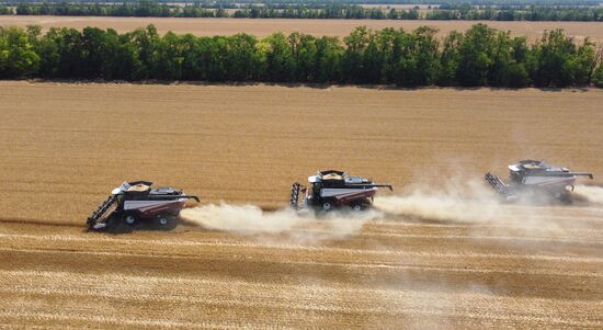 Russia Agriculture Wheat Harvesting
