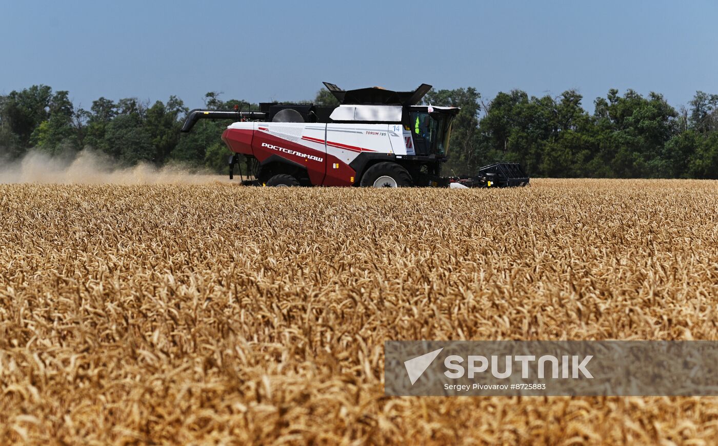 Russia Agriculture Wheat Harvesting