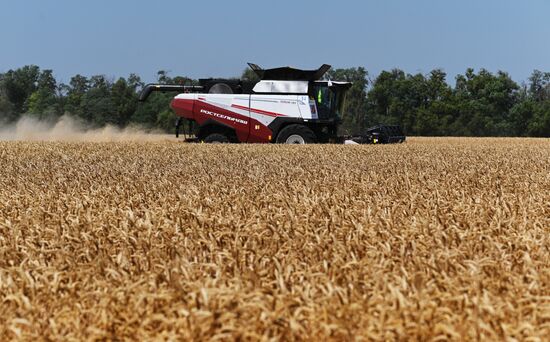 Russia Agriculture Wheat Harvesting