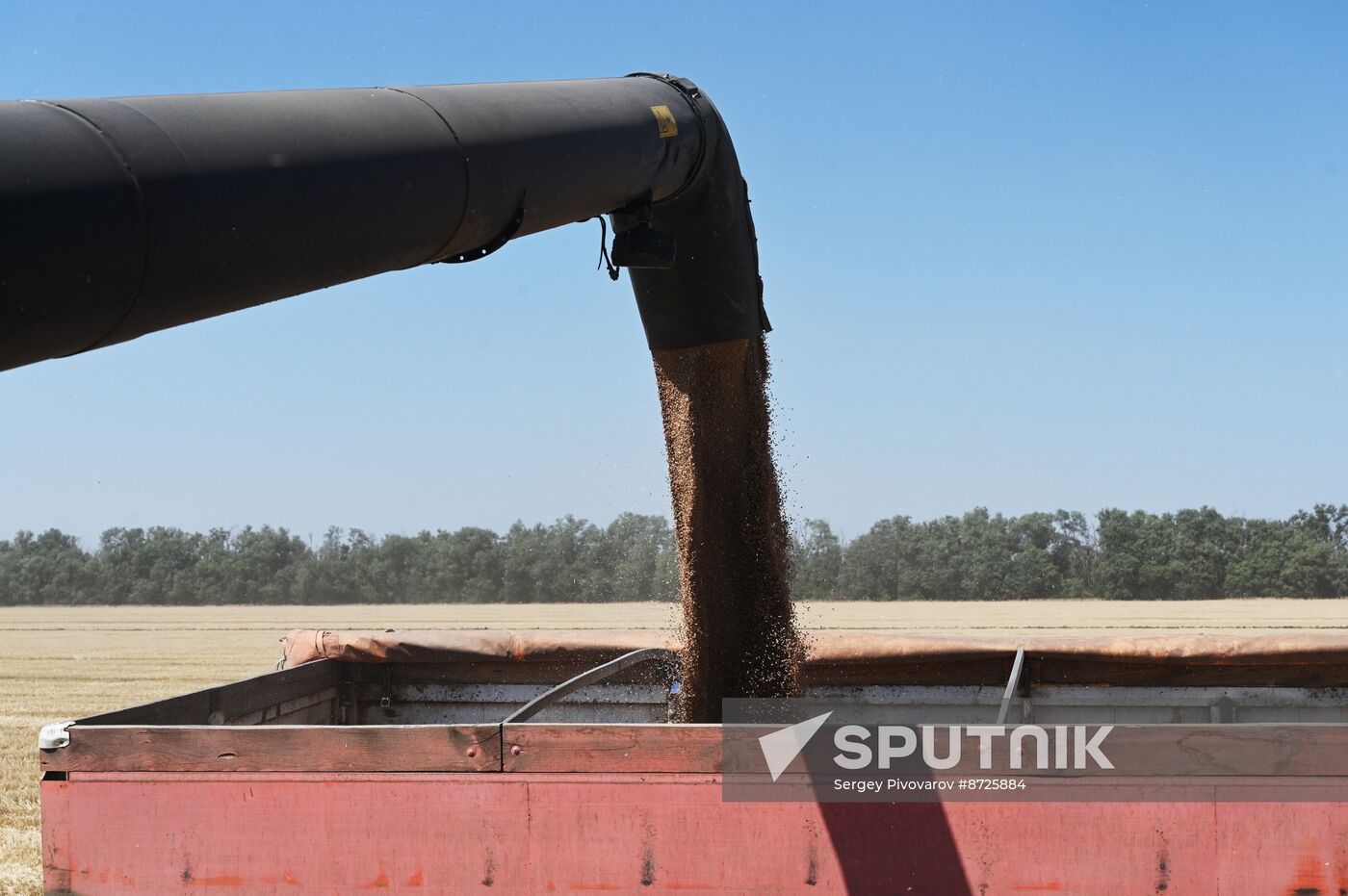 Russia Agriculture Wheat Harvesting