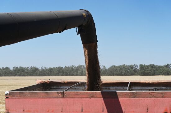 Russia Agriculture Wheat Harvesting
