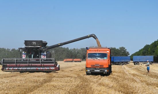Russia Agriculture Wheat Harvesting