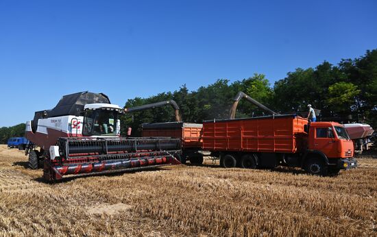 Russia Agriculture Wheat Harvesting