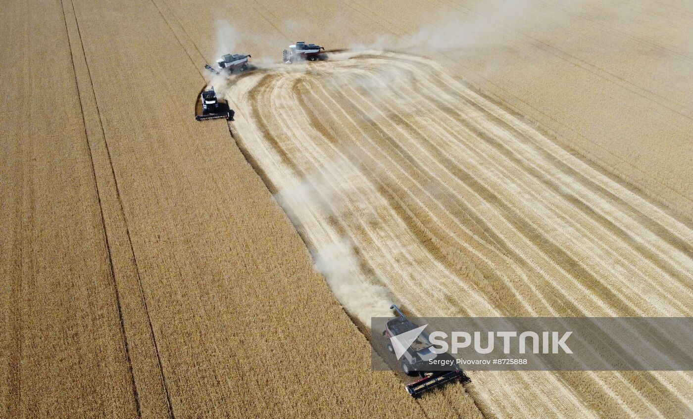 Russia Agriculture Wheat Harvesting