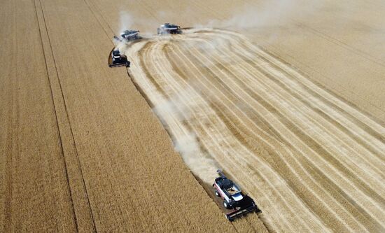 Russia Agriculture Wheat Harvesting