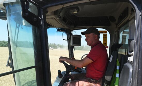 Russia Agriculture Wheat Harvesting