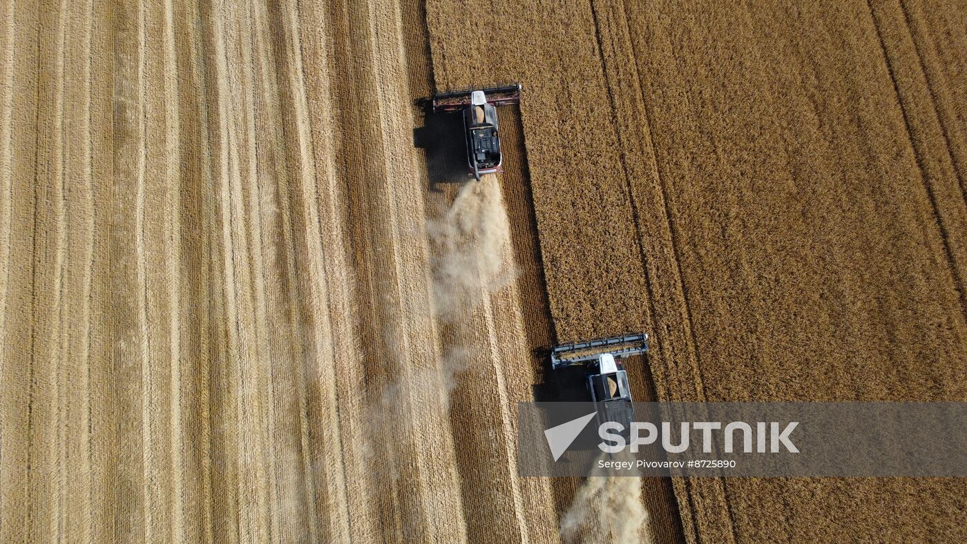 Russia Agriculture Wheat Harvesting